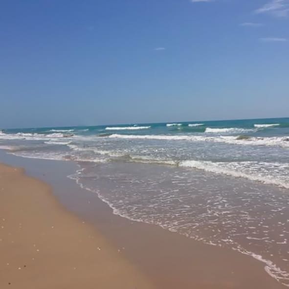 Visitar Barra de Tordo 